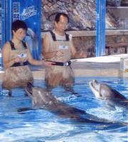 Highlight for album: Ocean Park July 2005